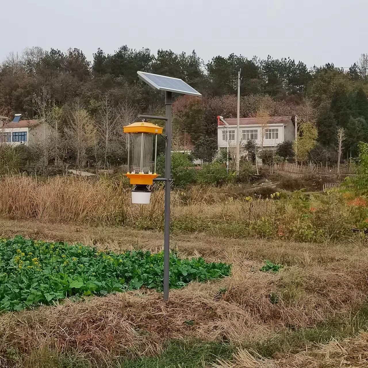 微信圖片_20221110101013.jpg 微信圖片_20221110101013.jpg