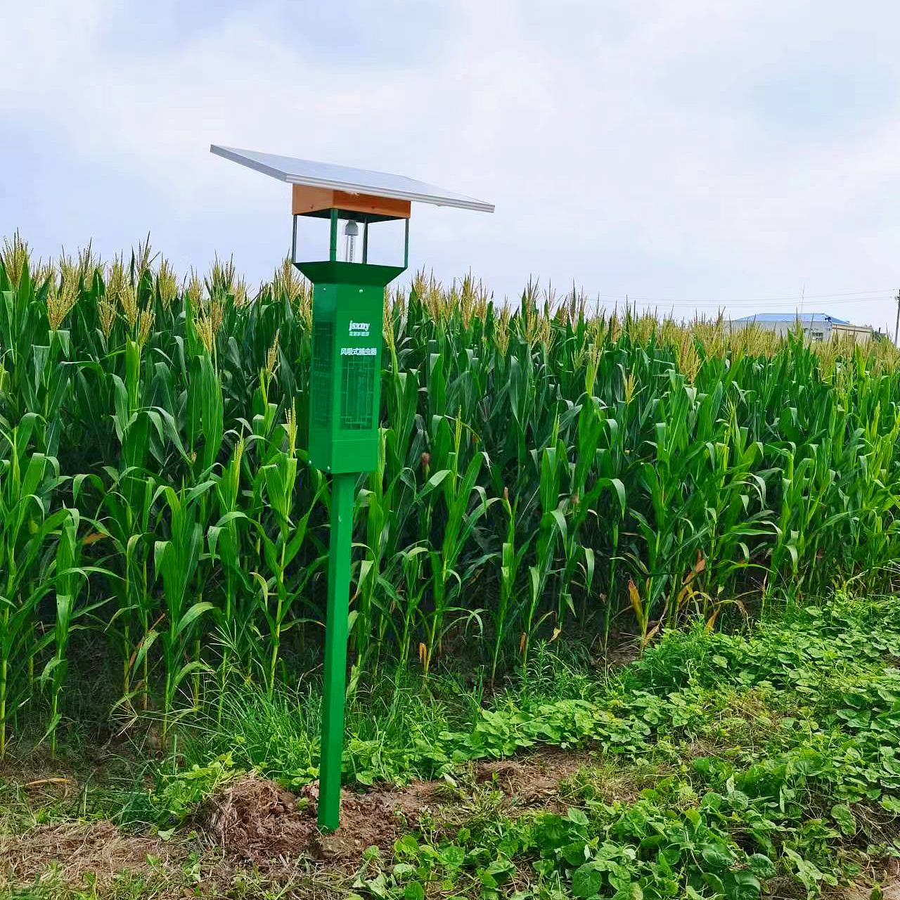 3_副本.jpg 3_副本.jpg